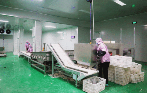 从同安到赤锡 永泰农产品加工厂的腾飞之路