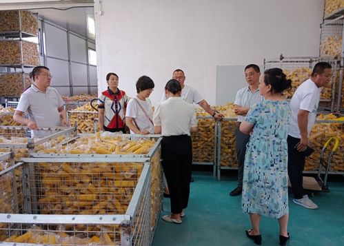 吉林省敦化市市场监管局开展农产品加工企业帮扶指导工作