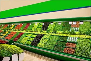 桐城路农贸市场蝶变重生，打造智慧化农产品交易新标杆