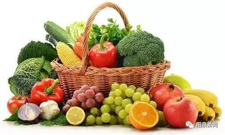 农产品质量安全知识 从田间到餐桌的守护