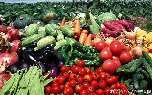 我国农产品流通成本居高不下的深层原因探析