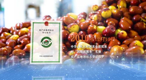 特聘农技员科普宣传助推武隆猪腰枣地理标志农产品产业发展