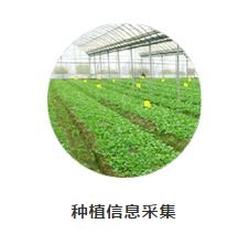 农产品质量安全追溯系统在深圳的网站建设与推广