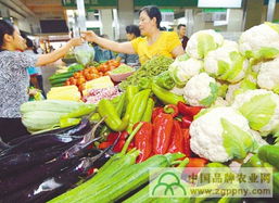 观察室 首届中国农产品品牌大会，引领品牌农业新时代