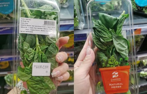 与华而不实的包装说拜拜 生鲜农产品包装新国标引领绿色新风尚