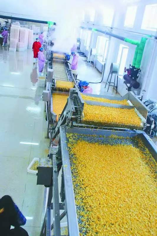 品味龙江，吃对健康 黑龙江“喊”全国共享优质玉米，打造健康农产品新名片